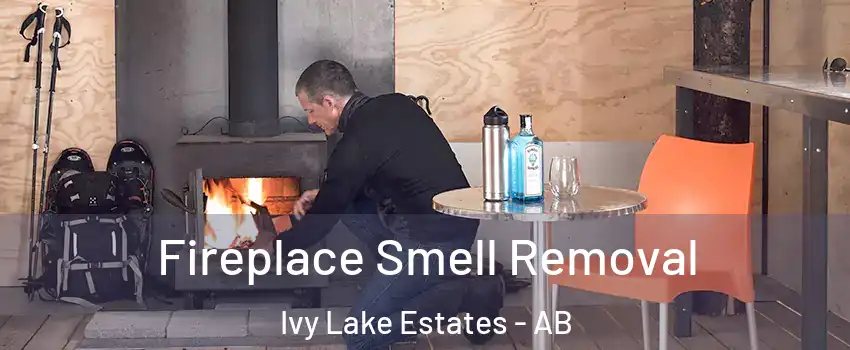  Fireplace Smell Removal Ivy Lake Estates - AB