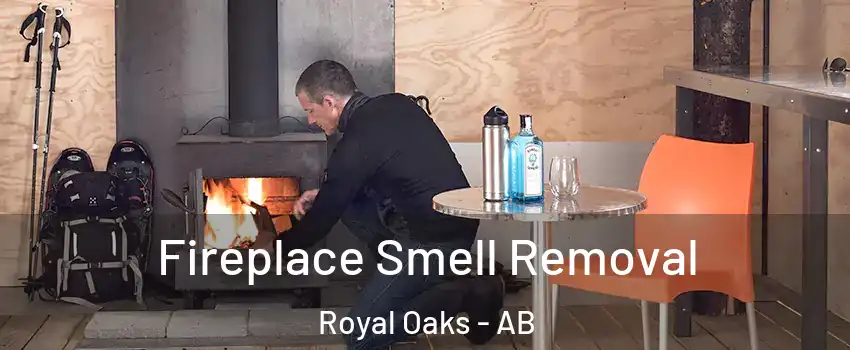  Fireplace Smell Removal Royal Oaks - AB