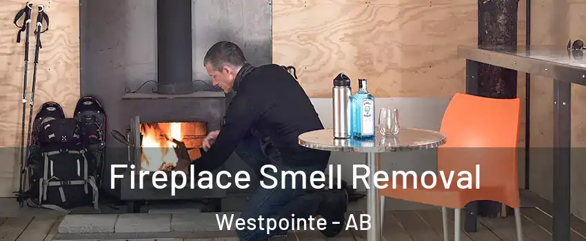  Fireplace Smell Removal Westpointe - AB