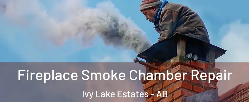  Fireplace Smoke Chamber Repair Ivy Lake Estates - AB