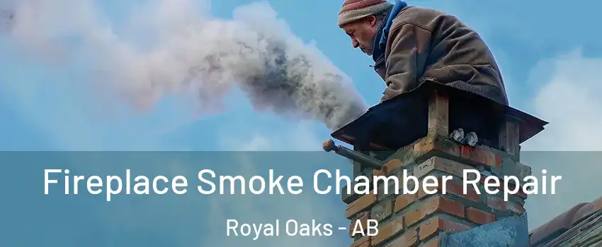  Fireplace Smoke Chamber Repair Royal Oaks - AB