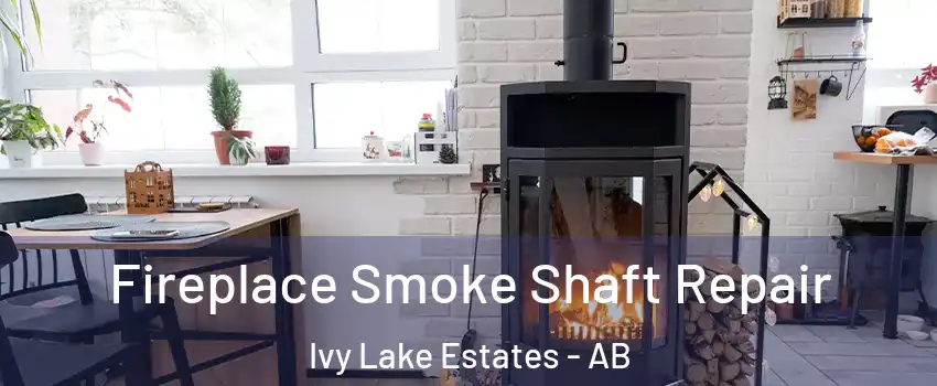  Fireplace Smoke Shaft Repair Ivy Lake Estates - AB
