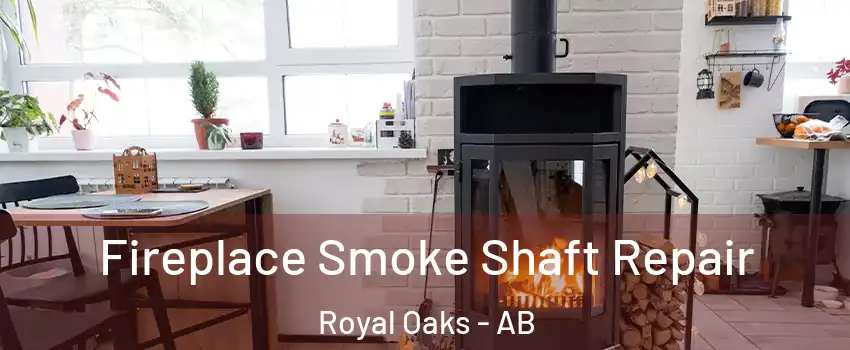  Fireplace Smoke Shaft Repair Royal Oaks - AB