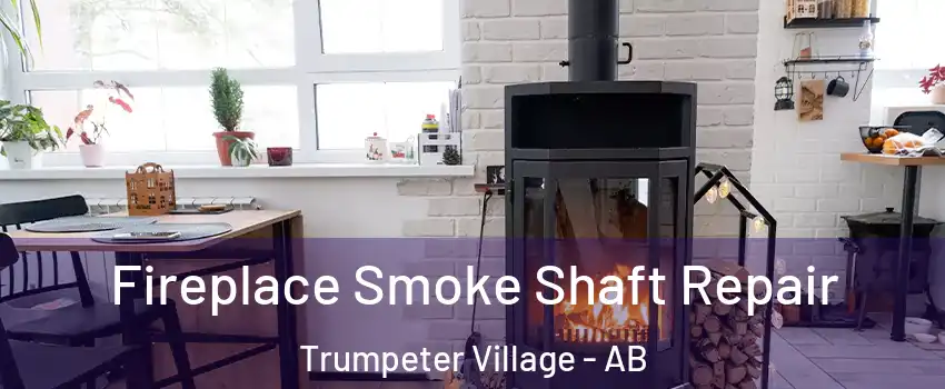  Fireplace Smoke Shaft Repair Trumpeter Village - AB