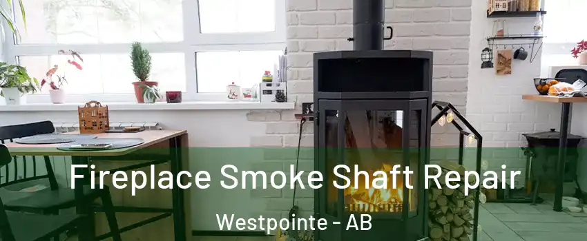  Fireplace Smoke Shaft Repair Westpointe - AB