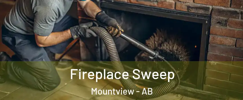  Fireplace Sweep Mountview - AB