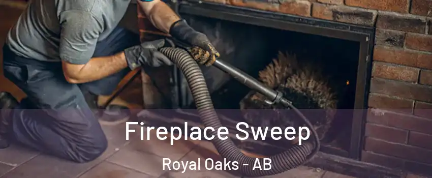  Fireplace Sweep Royal Oaks - AB