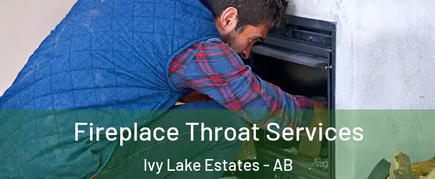  Fireplace Throat Services Ivy Lake Estates - AB