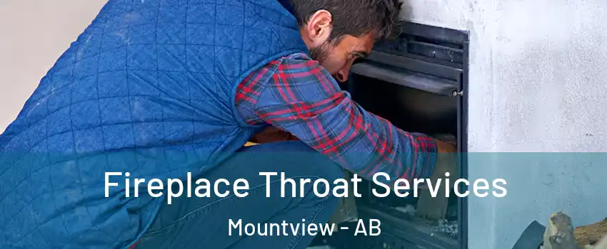 Fireplace Throat Services Mountview - AB