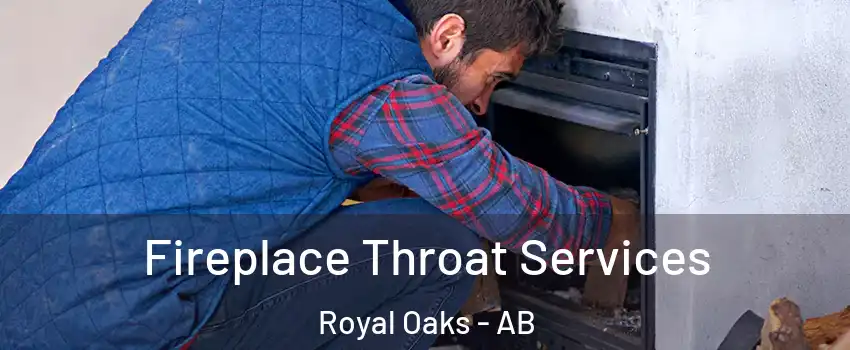 Fireplace Throat Services Royal Oaks - AB