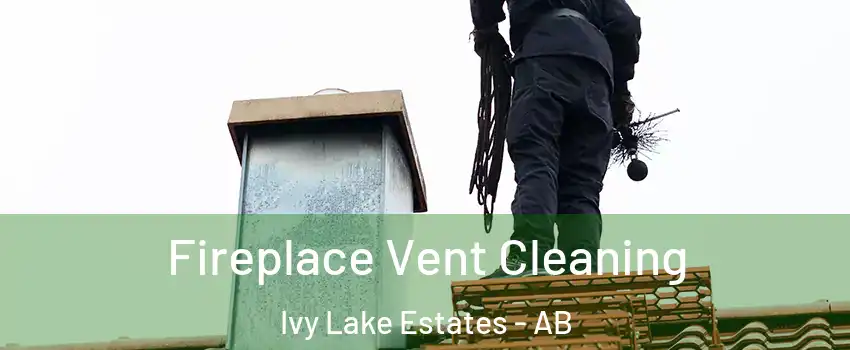  Fireplace Vent Cleaning Ivy Lake Estates - AB