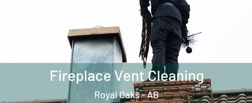  Fireplace Vent Cleaning Royal Oaks - AB