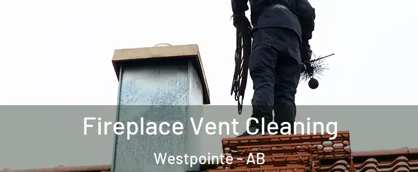 Fireplace Vent Cleaning Westpointe - AB