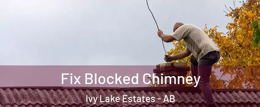  Fix Blocked Chimney Ivy Lake Estates - AB