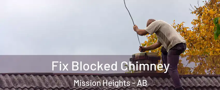  Fix Blocked Chimney Mission Heights - AB