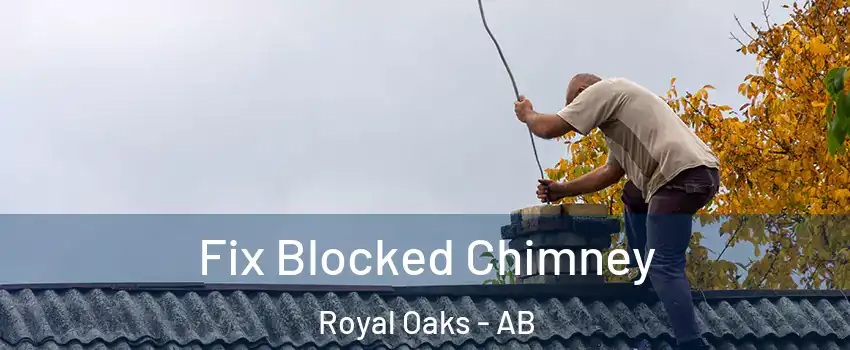 Fix Blocked Chimney Royal Oaks - AB