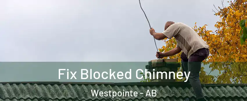  Fix Blocked Chimney Westpointe - AB