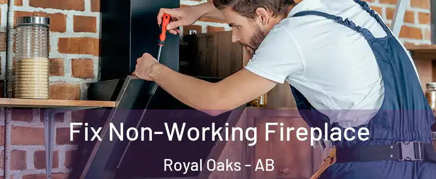  Fix Non-Working Fireplace Royal Oaks - AB