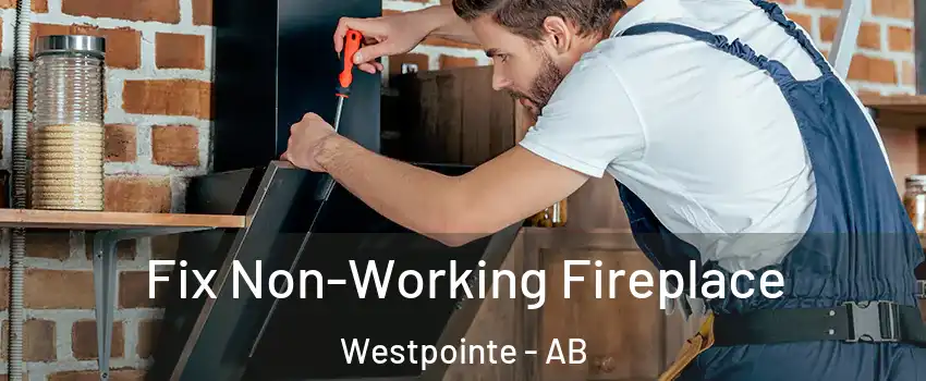  Fix Non-Working Fireplace Westpointe - AB