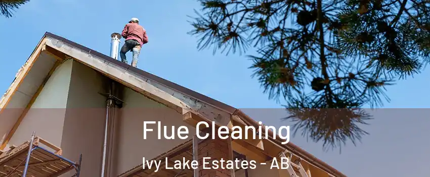  Flue Cleaning Ivy Lake Estates - AB