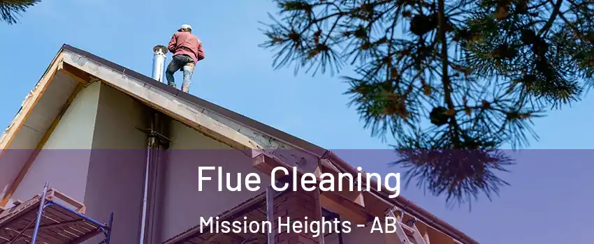  Flue Cleaning Mission Heights - AB