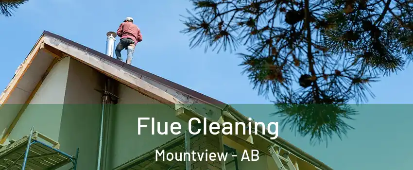  Flue Cleaning Mountview - AB