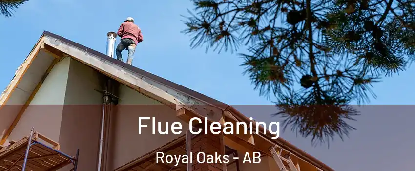  Flue Cleaning Royal Oaks - AB
