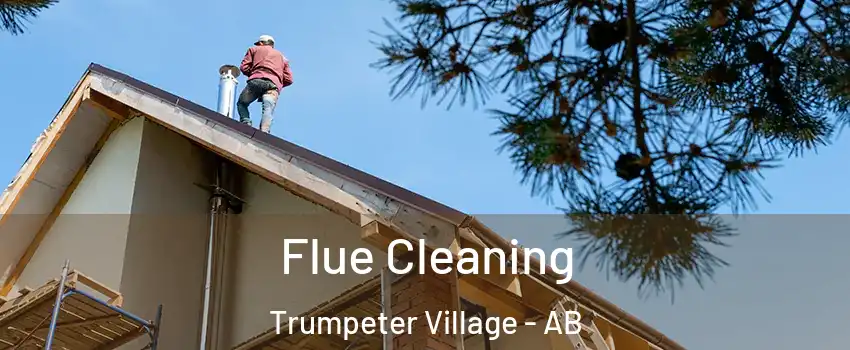  Flue Cleaning Trumpeter Village - AB