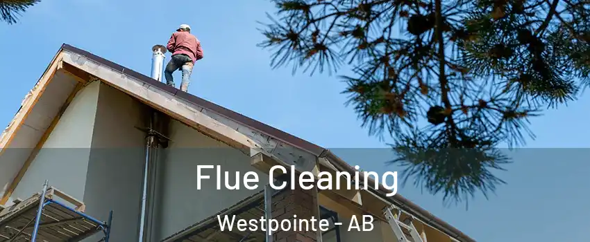  Flue Cleaning Westpointe - AB