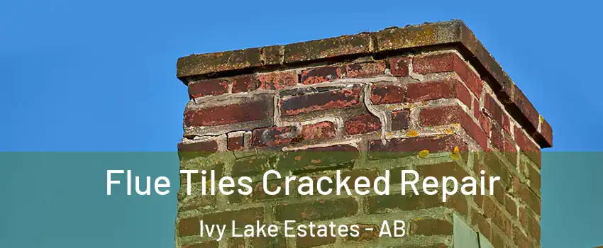  Flue Tiles Cracked Repair Ivy Lake Estates - AB