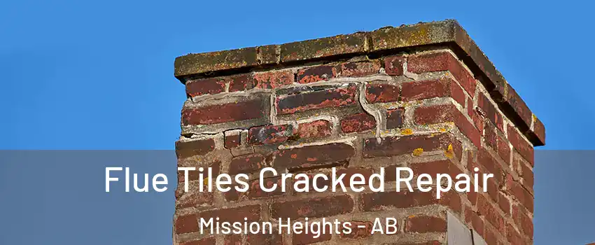  Flue Tiles Cracked Repair Mission Heights - AB