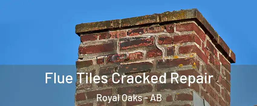  Flue Tiles Cracked Repair Royal Oaks - AB
