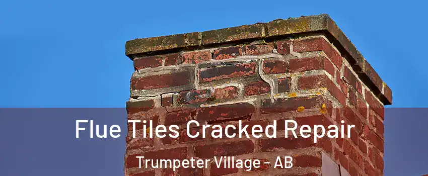  Flue Tiles Cracked Repair Trumpeter Village - AB