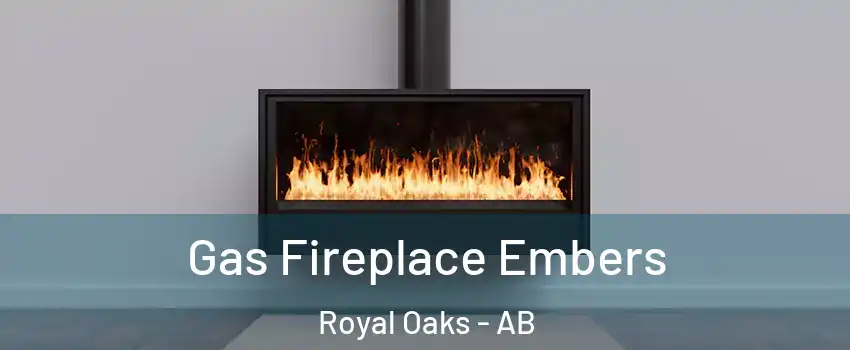  Gas Fireplace Embers Royal Oaks - AB