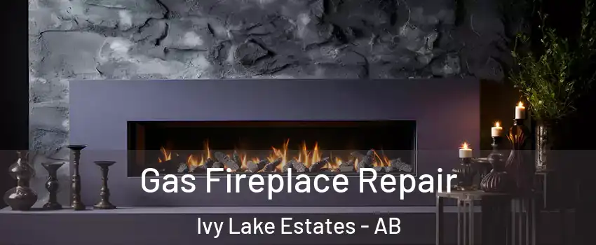  Gas Fireplace Repair Ivy Lake Estates - AB