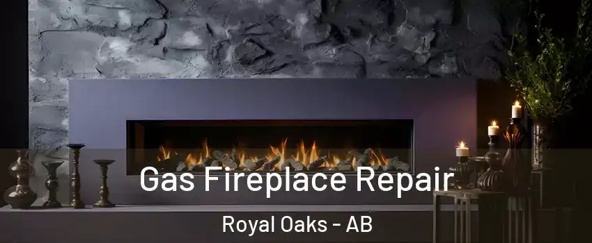  Gas Fireplace Repair Royal Oaks - AB