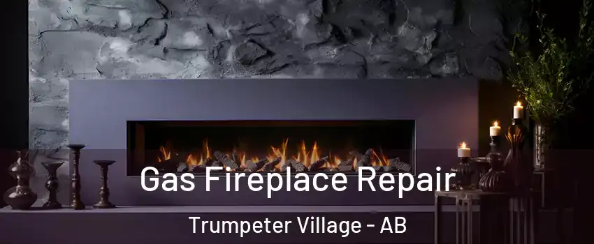  Gas Fireplace Repair Trumpeter Village - AB