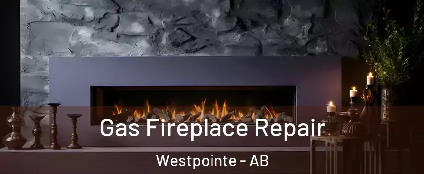  Gas Fireplace Repair Westpointe - AB