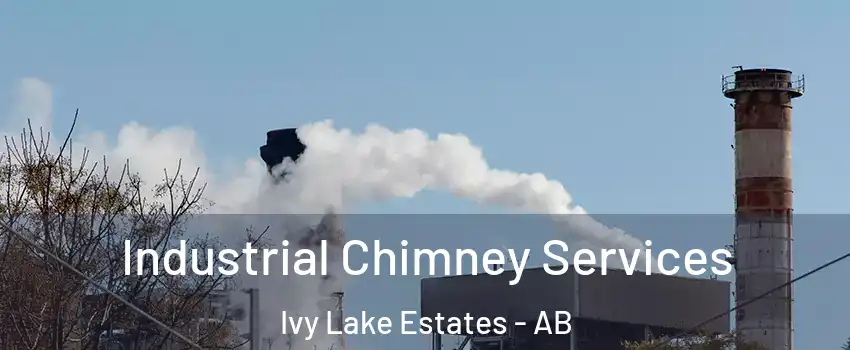  Industrial Chimney Services Ivy Lake Estates - AB