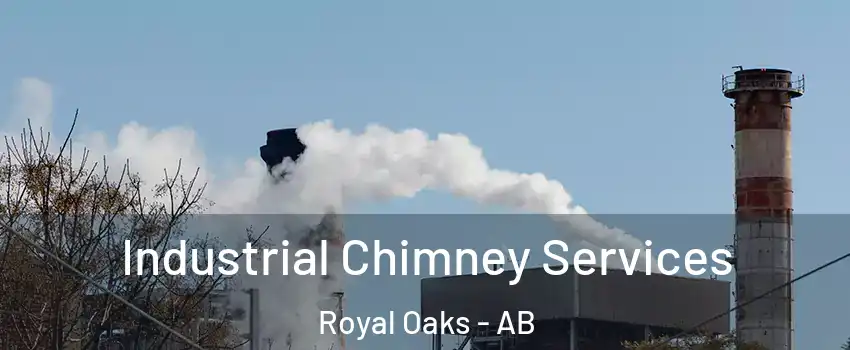  Industrial Chimney Services Royal Oaks - AB