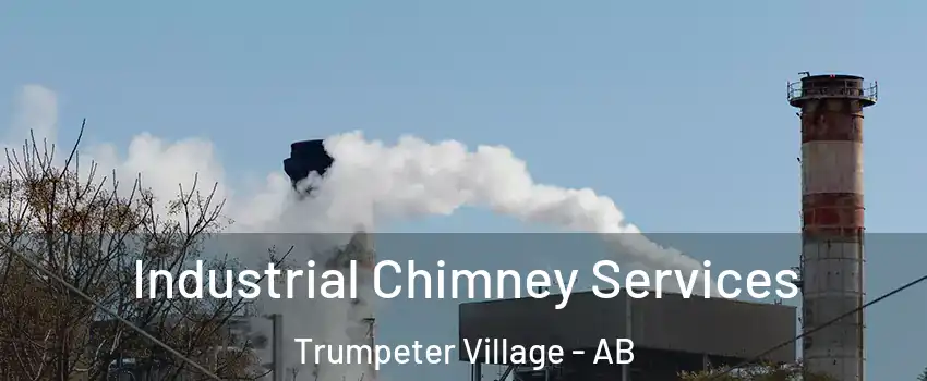  Industrial Chimney Services Trumpeter Village - AB