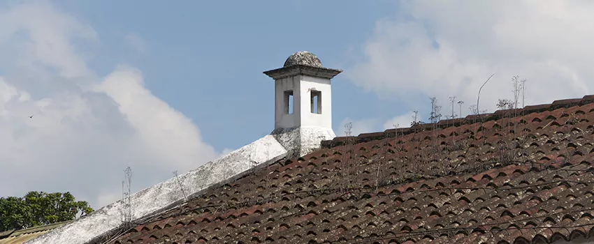 Wind-Resistant Chimney Caps Installation and Repair Services in Crystal Lake, Alberta