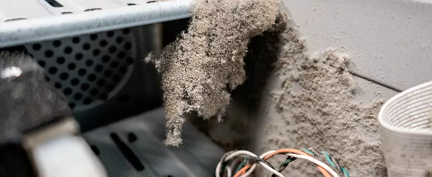 Clogged Dryer Vent Lint Cleaning in Crystal Lake, Alberta