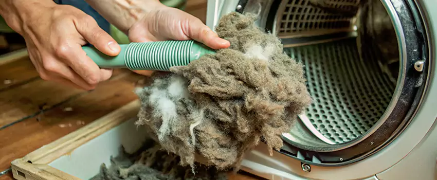 Best Dryer Lint Removal Company in Royal Oaks, Alberta