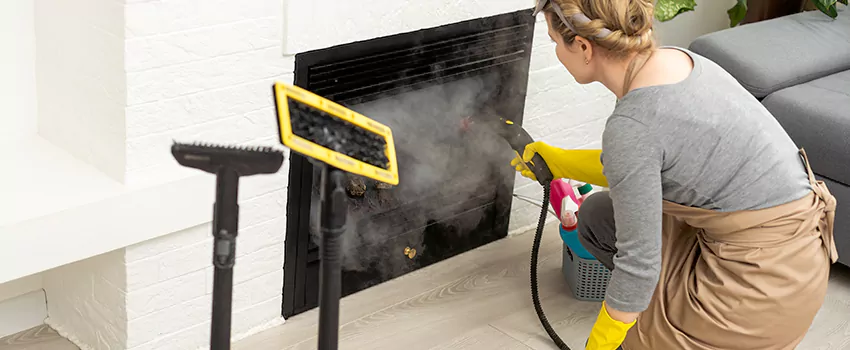 Fireplace Doors Cleaning in Royal Oaks, Alberta