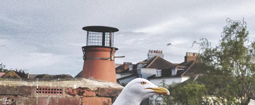 Chimney Cap Bird Guard Repair in Crystal Lake, Alberta