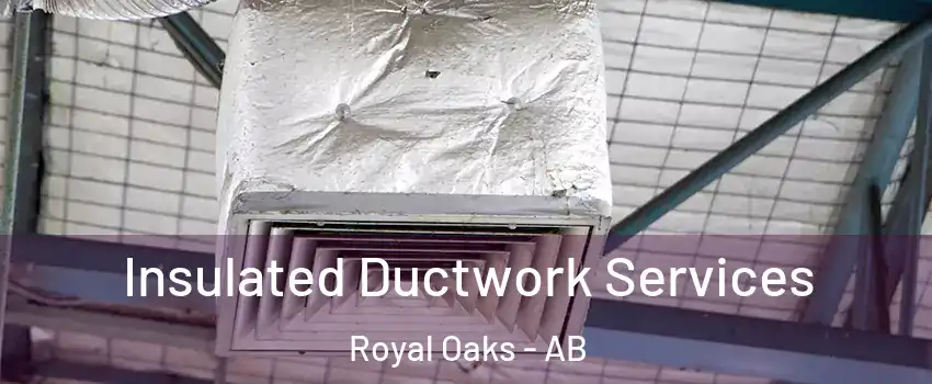  Insulated Ductwork Services Royal Oaks - AB