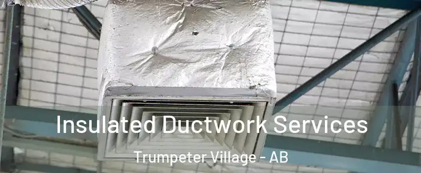  Insulated Ductwork Services Trumpeter Village - AB