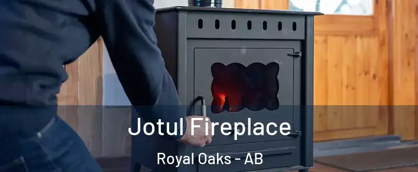  Jotul Fireplace Royal Oaks - AB