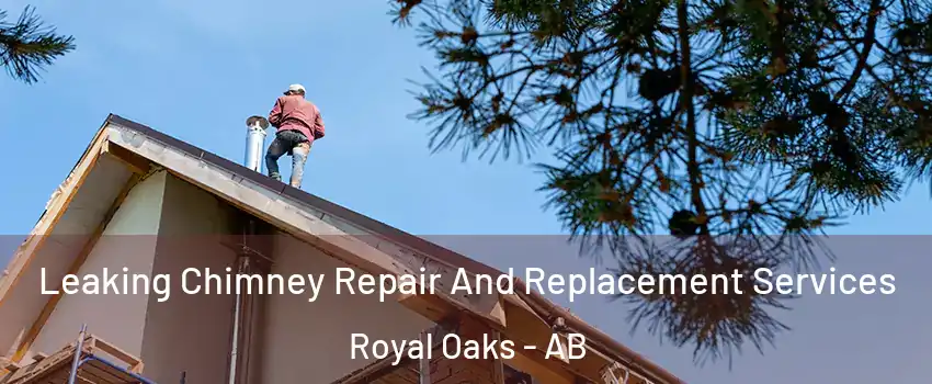  Leaking Chimney Repair And Replacement Services Royal Oaks - AB